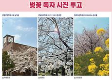 캡처.JPG